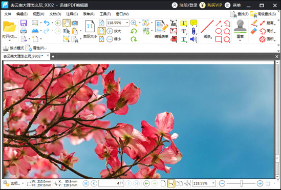 迅捷pdf编辑器艺术字,迅捷pdf编辑器去水印