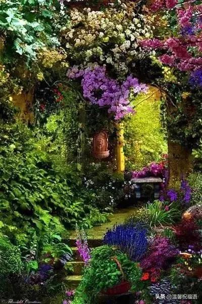 几句好的祝福语,很漂亮的一句话送给自己