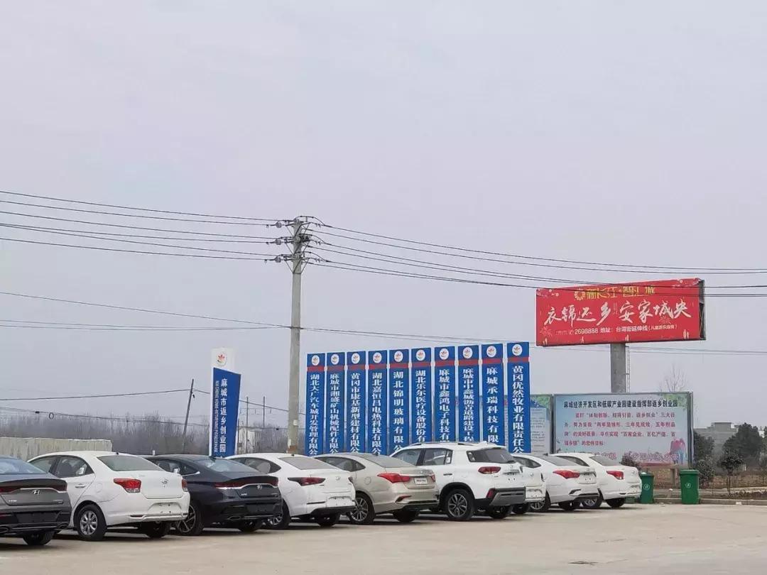 跟风买菲斯塔,跟风买新能源汽车