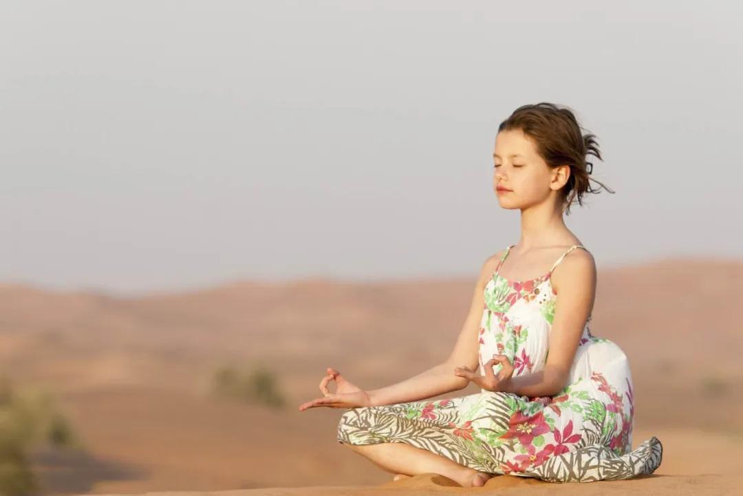 荷心瑜伽深度冥想静心,穿过竹林的风瑜伽冥想减压