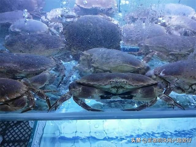 日照吴家台值得推荐的渔家乐,换一个角度感受生活中别样的美