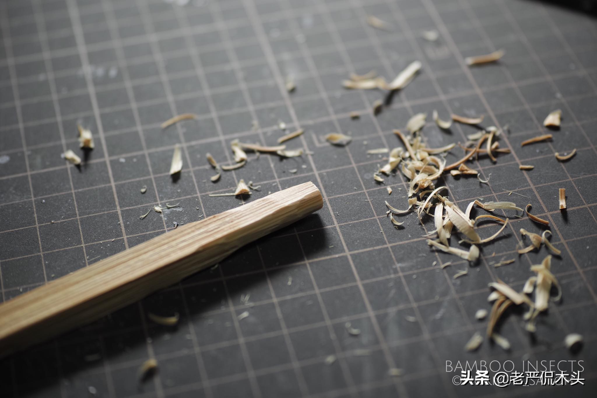 昆虫标本树脂竹节虫,昆虫标本制作竹节虫