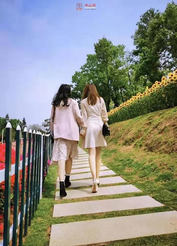 中山风景打卡点,广州秋游野餐好去处