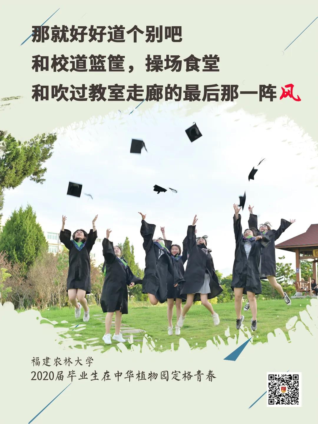宁德师范是今年什么时候毕业,宁德师范学院回忆