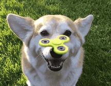 生活需要玩个球?钕磁铁片,搭配金属钢球,N种组合方式舒缓压力