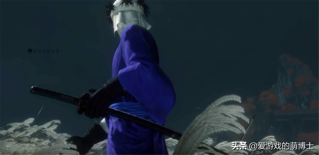 只狼影逝二度游戏画面设置,最简单的游戏只狼影逝二度