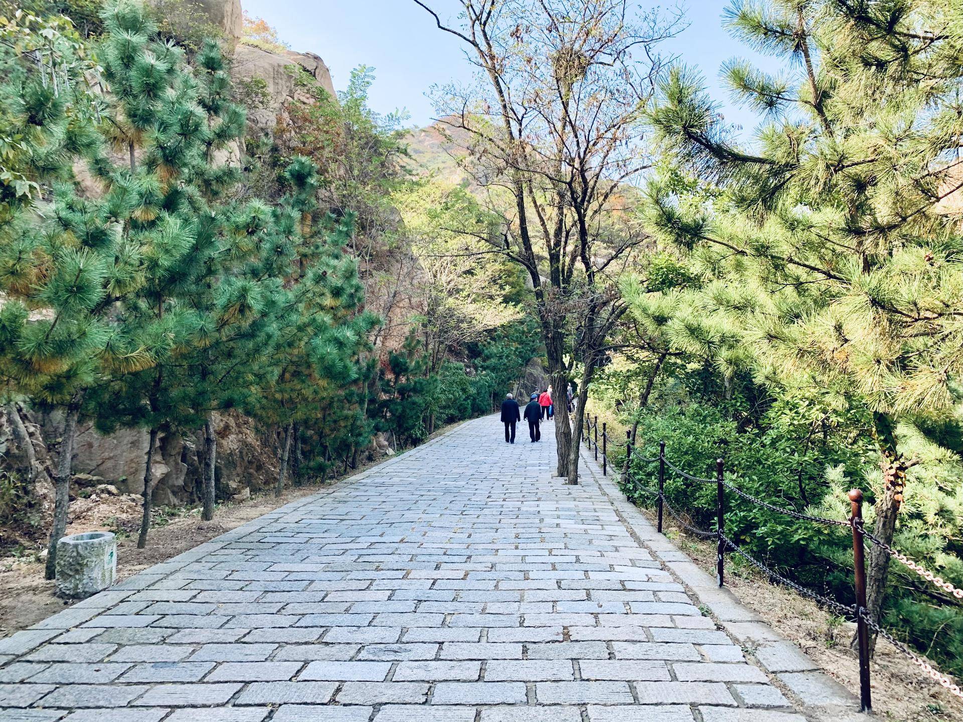 有山有水民宿原生态旅游,有山有水有云民宿名字