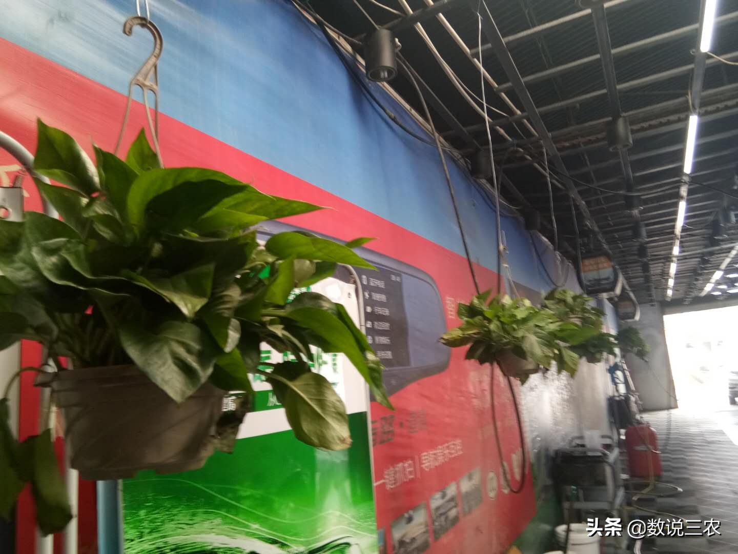 阳信：爱车码头创城从点滴做起受点赞