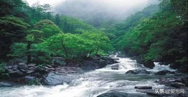 浙江大峡谷漂流排行榜,浙江最长的峡谷漂流是哪里