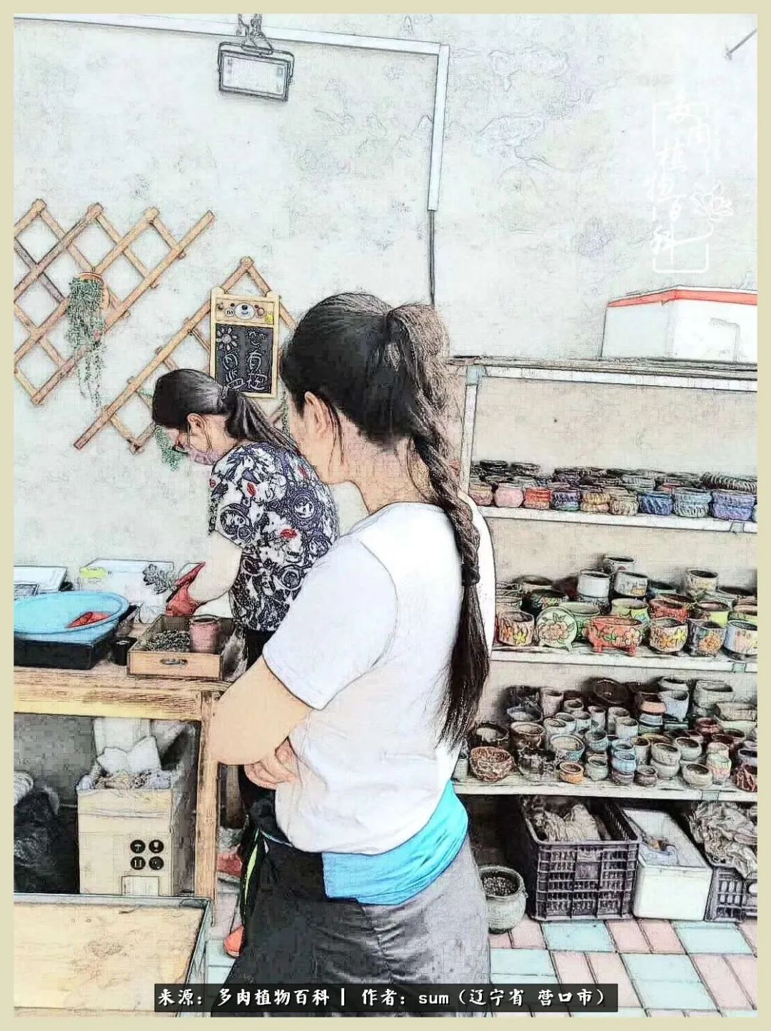 养多肉是一个很治愈的过程,养多肉是一种爱