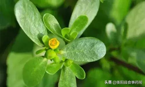 衡阳市食品安全监管局,衡阳县食品安全监管