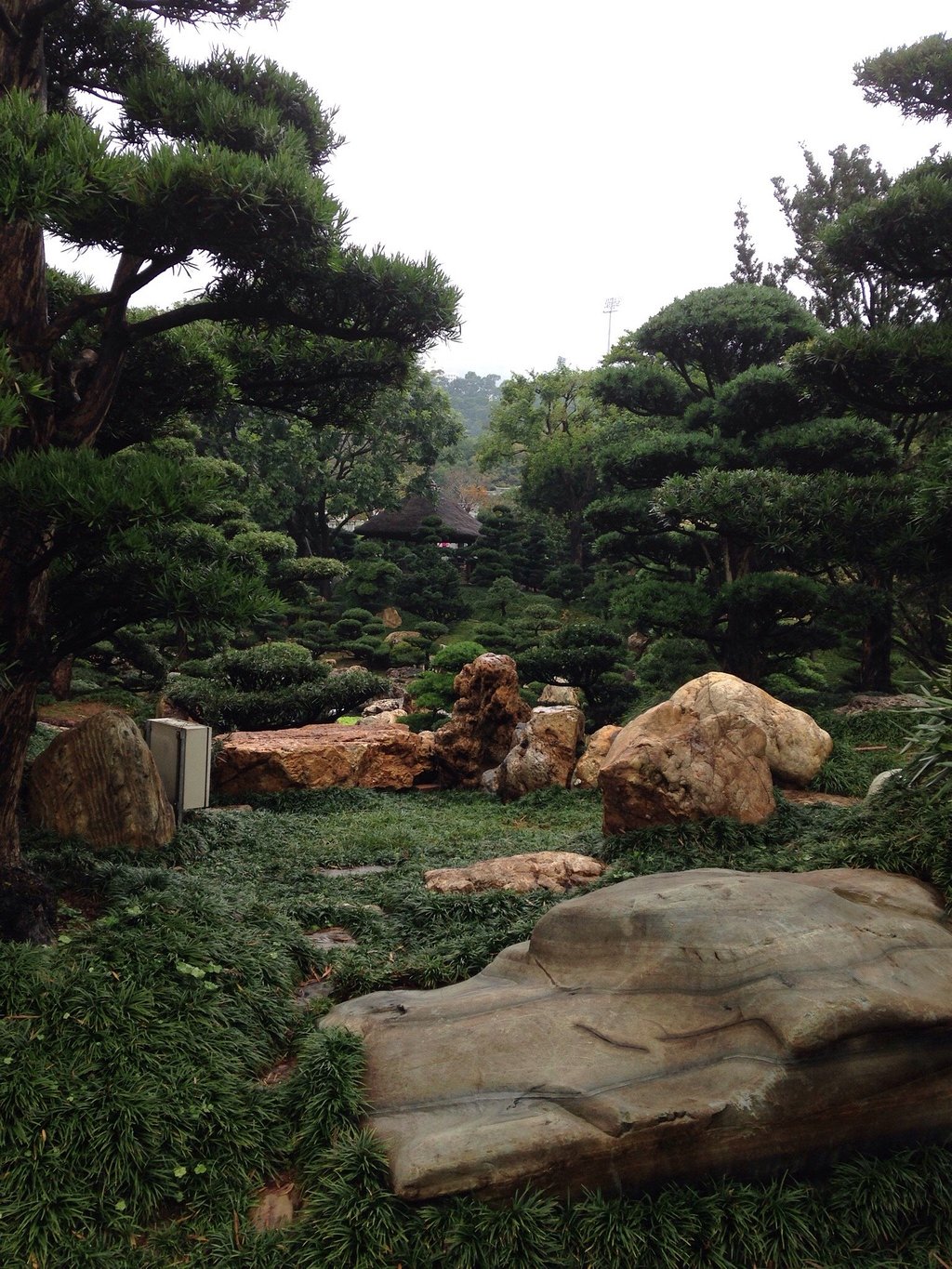 香港志莲净苑地图,香港志莲净苑好玩吗