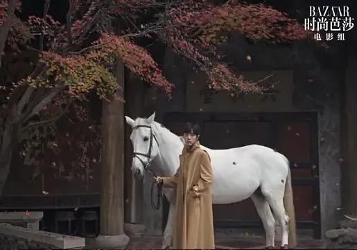 最大胆又最正经,肖战和Gucci