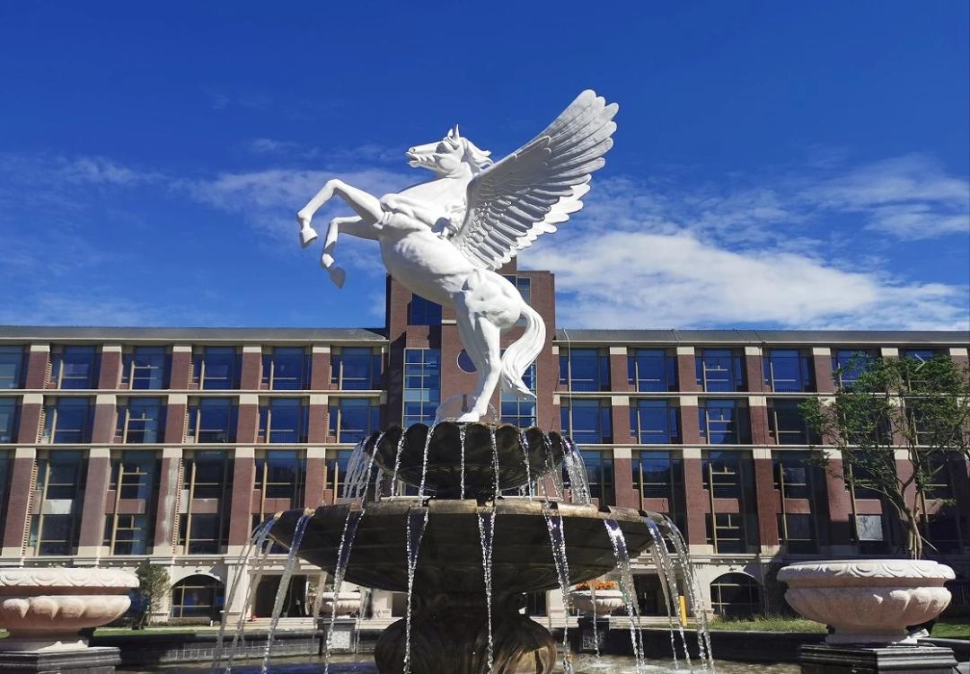 幼升小民办补录计划怎么看,温江民办学校小升初区域划分明细