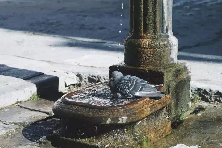 意大利秋季穿衣搭配,一周法式衣服搭配图片
