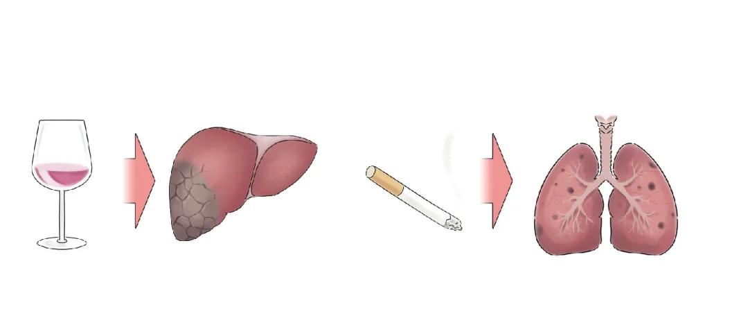 防治耐多药结核病要做好感染控制,2019年中国耐多药结核病治愈率