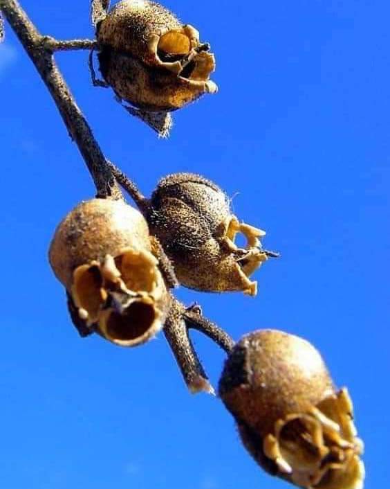 25张活久未见的历史照片,35张活久见的照片