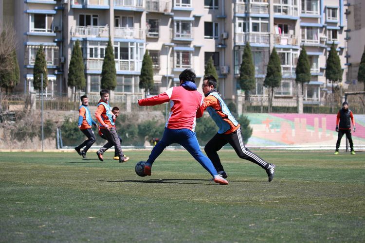 大连三鼎春天视频,大连三鼎春天怎么样