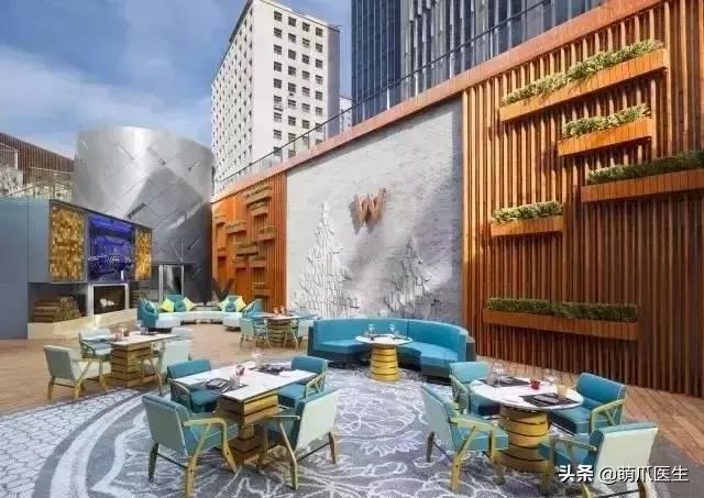 带宠物住宿酒店,带宠旅行酒店