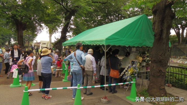 日本皇室特别喜欢给动物封官,每一个级别都比大名高