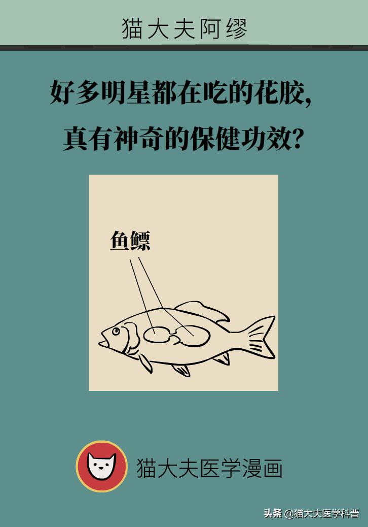 明星吃花胶,花胶的功效与作用排行榜