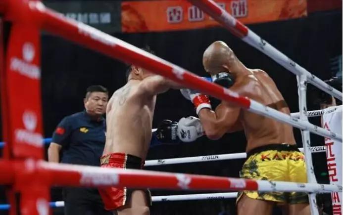 散打王评价一龙全集,一龙最近格斗视频