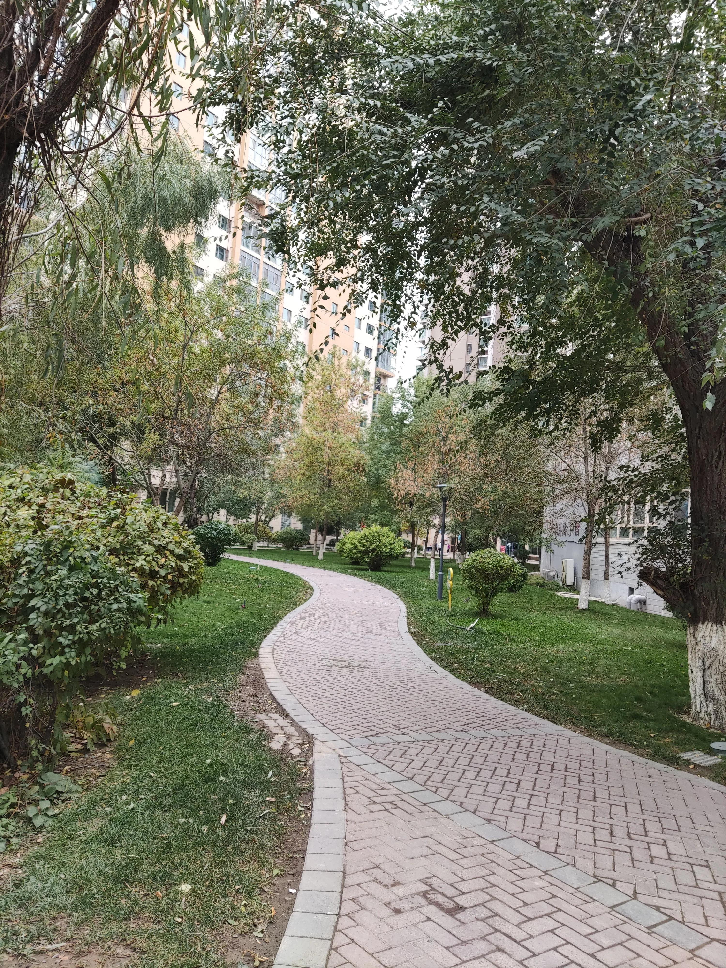 乌鲁木齐市南湖绿化广场附近小区,乌鲁木齐绿化最好的公园