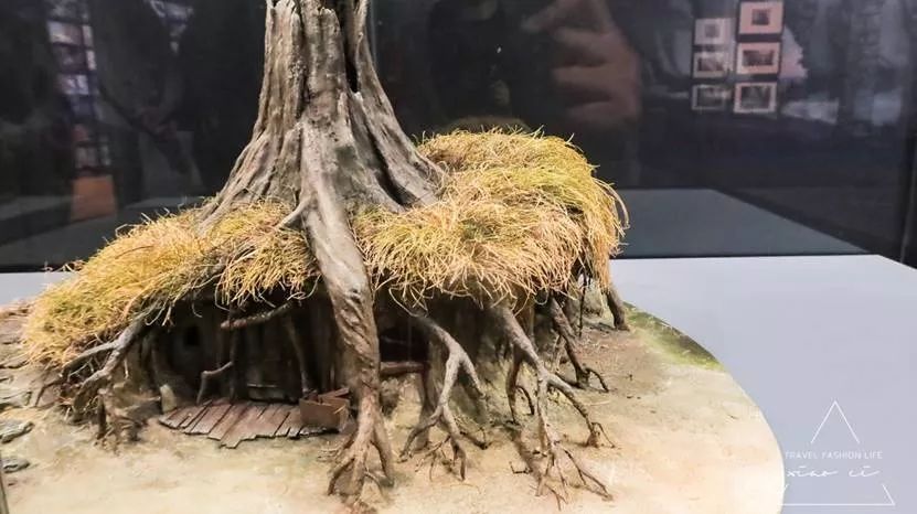 澳洲|春意堪培拉,看袋鼠、品酒、赏花、住进动物的家