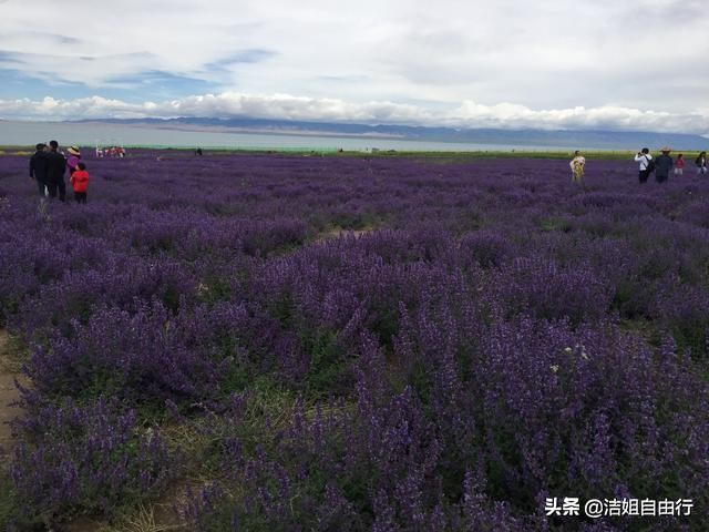 7月的青海湖自驾风景,青海湖大环线旅游攻略青海