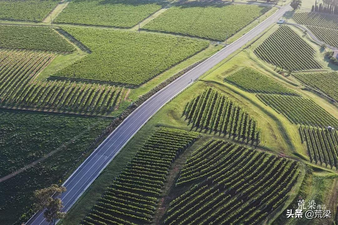 澳洲酒庄旅游,澳洲旅游攻略红酒