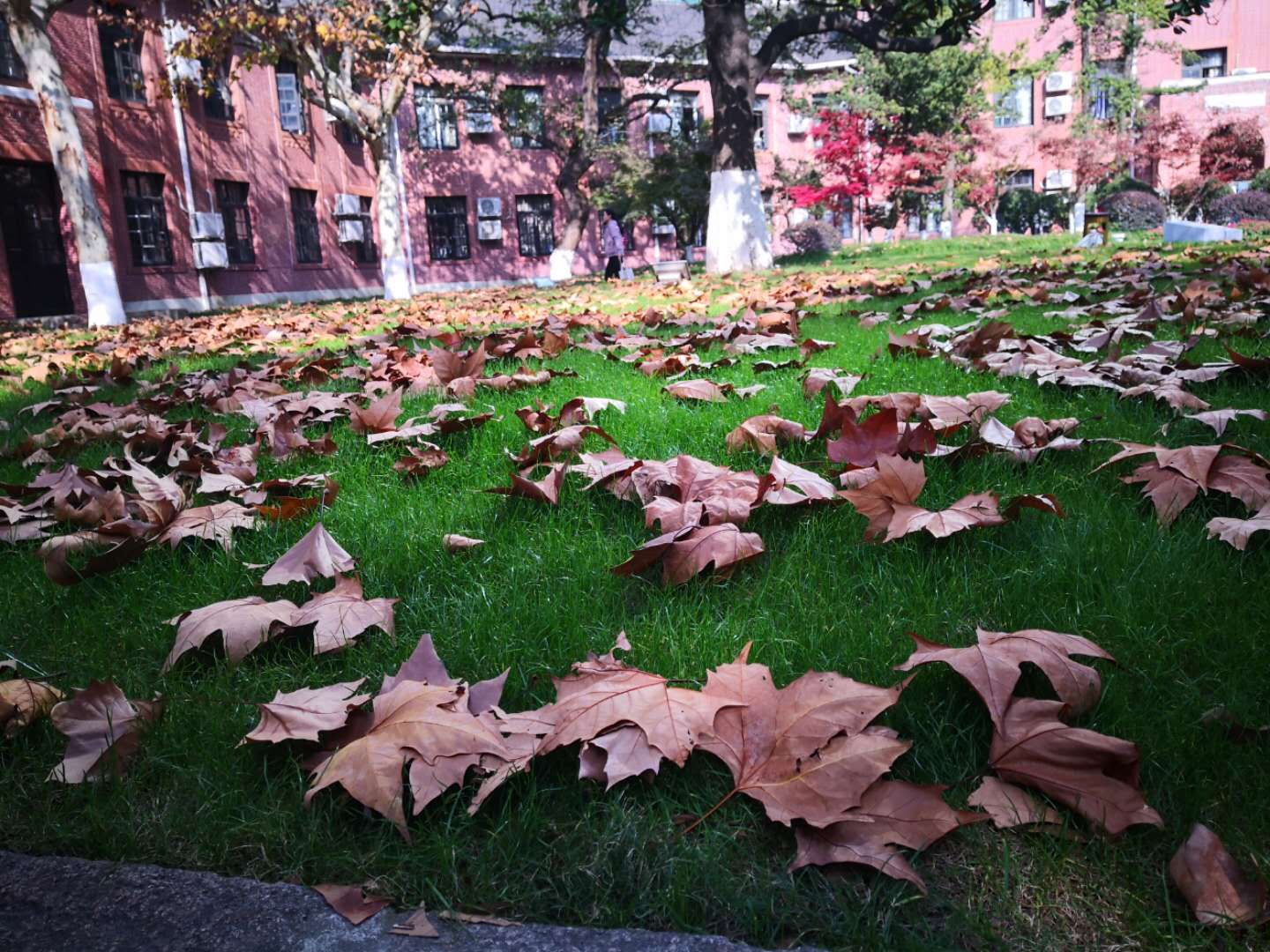 恋爱告急上海交通大学,上海交通大学大学情侣