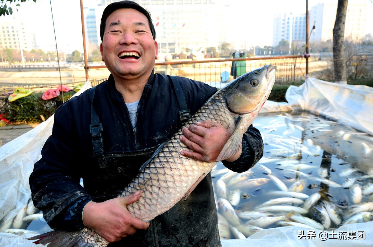 未来3年养殖什么鱼赚钱,养殖什么鱼销路最好