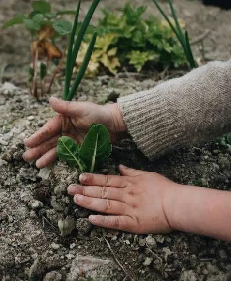 她放弃城市生活,一家人搬到乡下田园:自给自足
