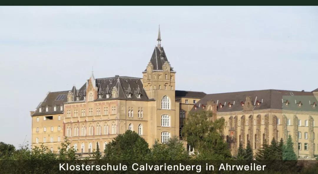 “红葡萄酒天堂”，著名疗养圣地BadNeuenahr——Ahrweiler