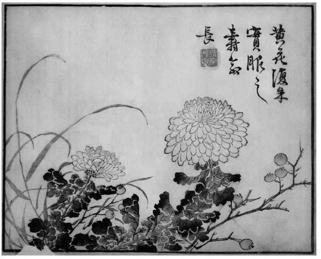 菊花写意画法100幅,简单的写意菊花画法