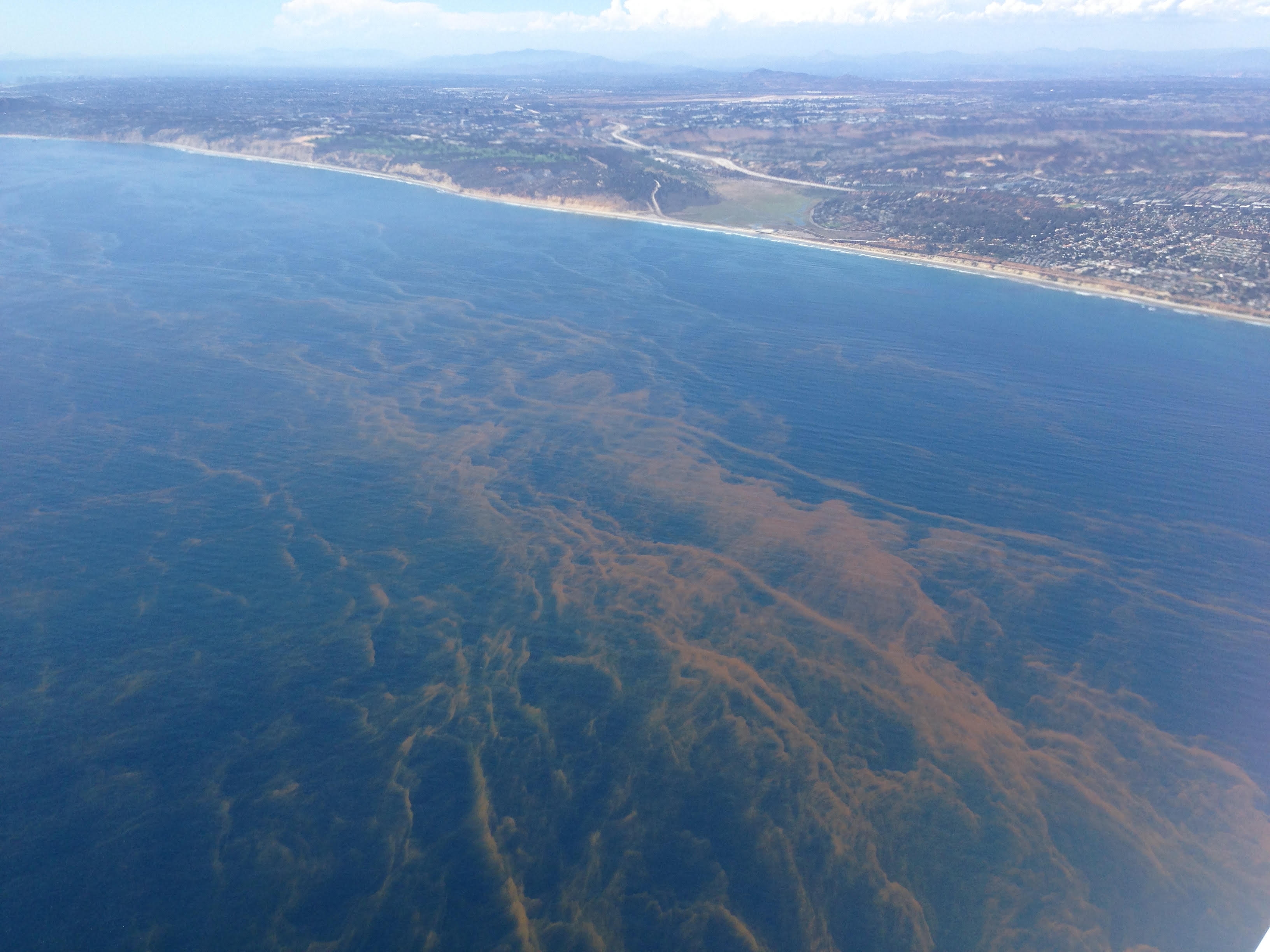 南极磷虾约10亿吨数量惊人的原因,南极磷虾数量减少最主要原因