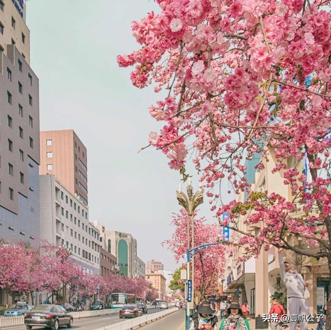 被大理的美景所折服,被丽江的风景美到了