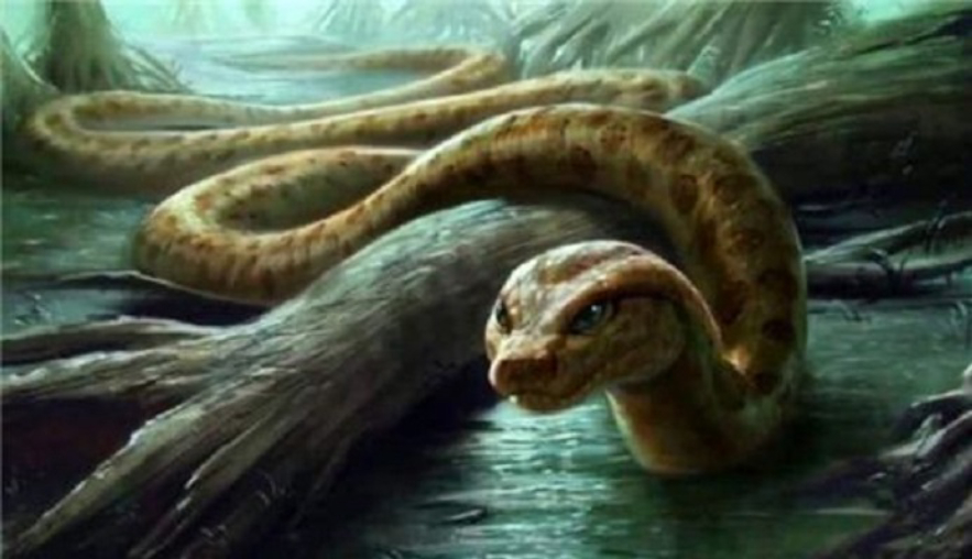 地球诞生时表面温度5000度,地球在10000亿年前发生了什么