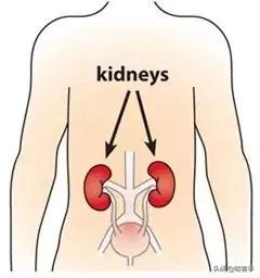 狼疮肾怎么治疗,狼疮肾指标怎么看