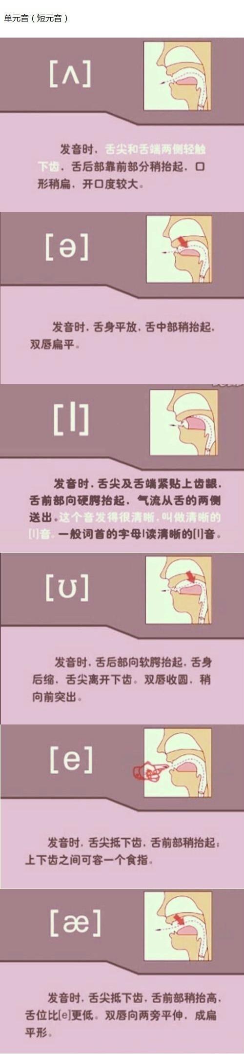 英语音标n的发音,英语音标发音图解读