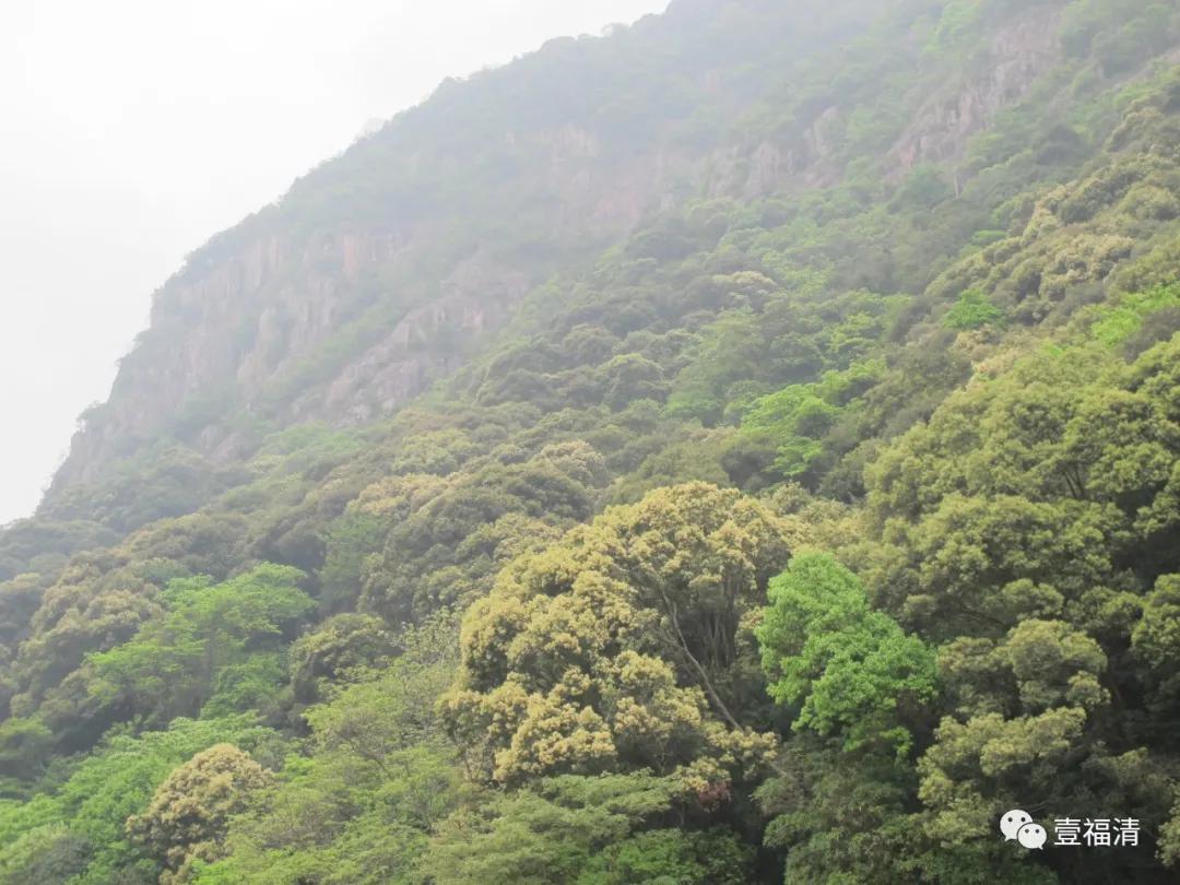 这个青年，是开辟福清罗汉里游击根据地功臣……