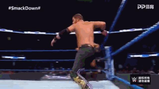 SD：小老麦职业生涯遭遇最大威胁！蛋妞居然被罗温血虐