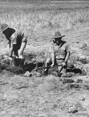 硬抗巅峰期“零战”，保卫澳大利亚的“喷火”们