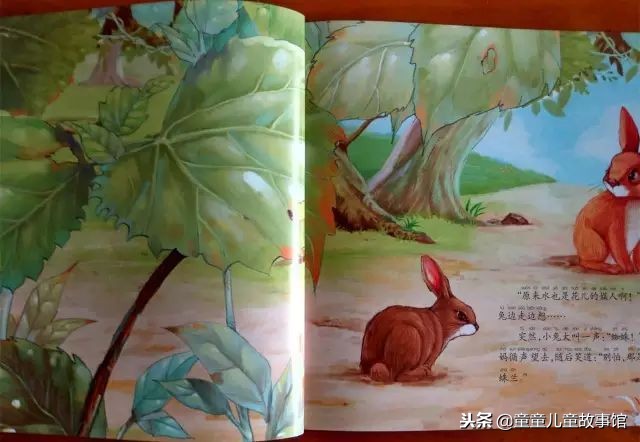 花儿的媒人绘本故事,儿童绘本故事春天的故事