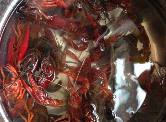 如何刷洗小龙虾不夹手,小龙虾不拿刷子刷行吗