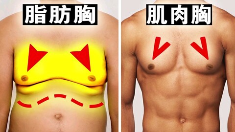 胸部下垂胸大肌怎么练最有效果,怎么才能快速消除脂肪胸