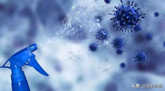 猫咪得了猫传腹站不起来几天会死,猫传腹口服441和针剂441的区别