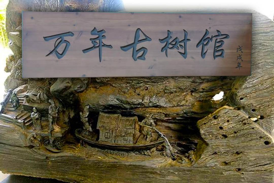 花果山芳香小镇,广州花果山芳香小镇门票多少