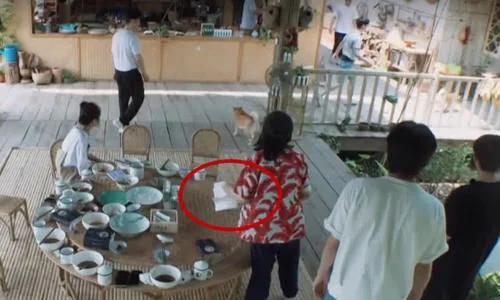 张子枫和小h,张子枫小h