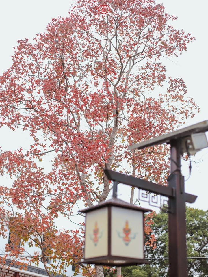 武汉温馨的旅游景点,武汉宝藏旅游胜地免费景点